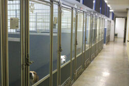 ERV Kennels