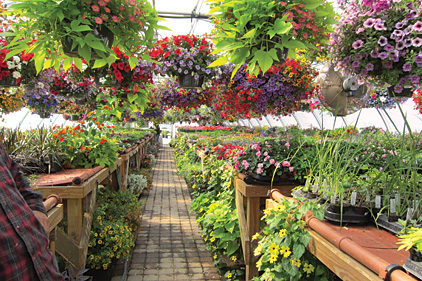 Geothermal Puts the Green in Greenhouse | 2013-05-20 | ACHRNEWS | ACHR News