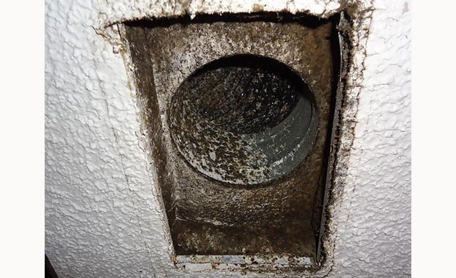 What does black mold look like? - Sky Heating, AC, Plumbing & Electrical