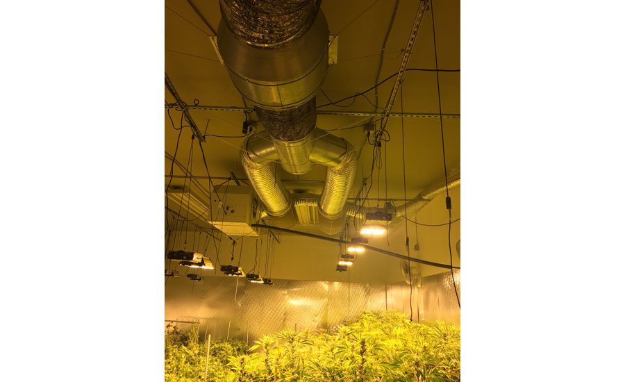 La ventilation dans les plantations de marijuana indoor
