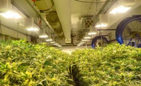 Project Files: Episode 41 - High Mountain Cannabis Fabric Ductwork