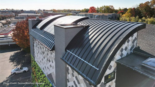 Metal Roofing