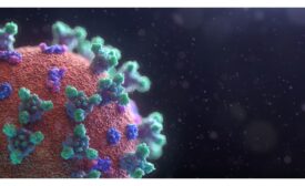 Coronavirus Survey Main Image