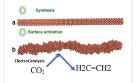 ElectroCatalysis system