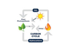 Carbon Cycle